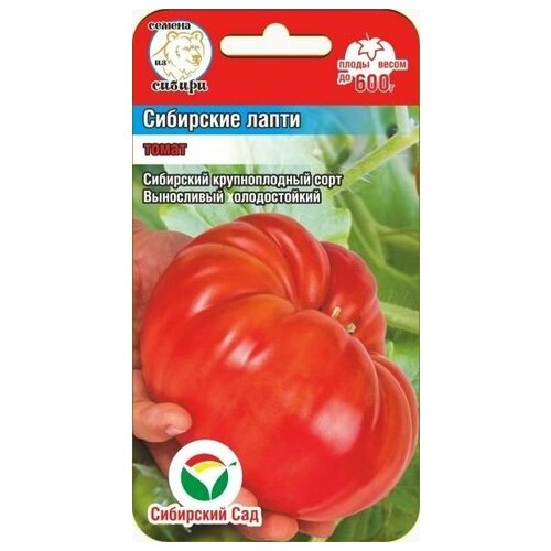 ������ ������ ����� ��������� ����� ����