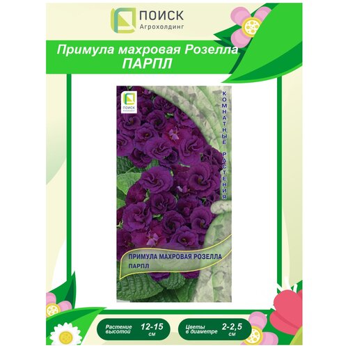 ������ ������ ������ ������� �������� ������� ����� ��������� 5 ��. ����