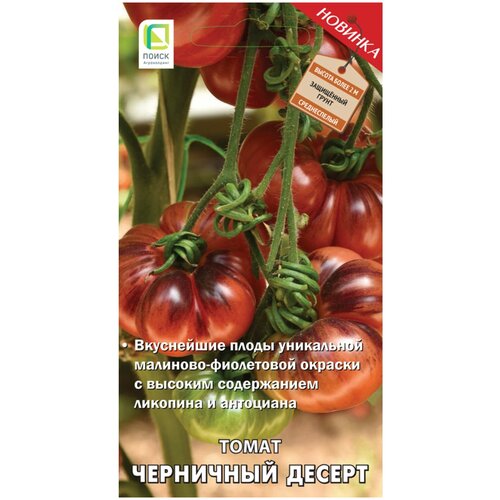 ������ ������ ������ ����� ����� ��������� ������ 12 ��. ����