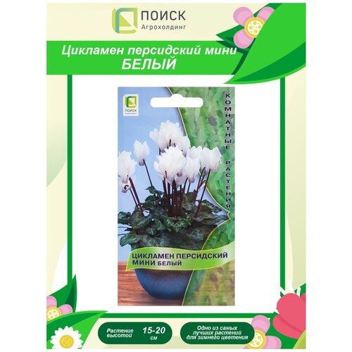 ������ ������ ������ �������� ���������� ���� ����� ��������� 2 ��. ����