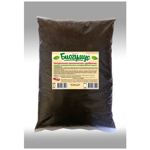 ������ ������ �������� ��� ������, ������� � �������, 1,5� ����