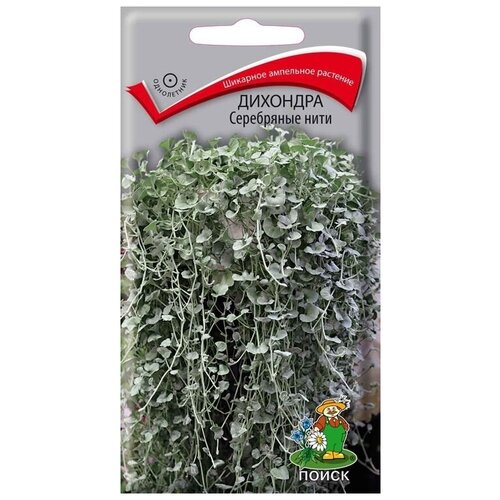 ������ ������ ������ �������� ���������� ���� ����