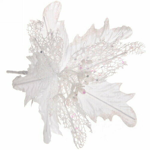 ������ ������ ��������� ���������� �����������-��������� 23 ��, ����� ����