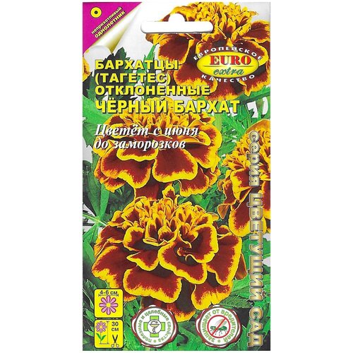 ������ ������ ������. �������� 