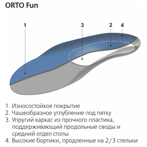     ORTO Fun,  33/34   -     , -,   