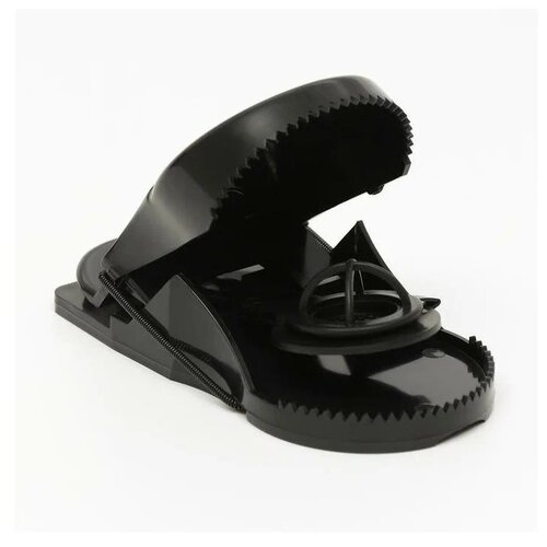 ������ ������ ���������� Mr. Mouse ������������ ������ 1 ��. ����