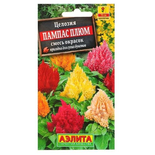 ������ ������ ������. ������� �������� 