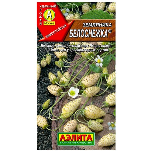 ������ ������ ������. ��������� 