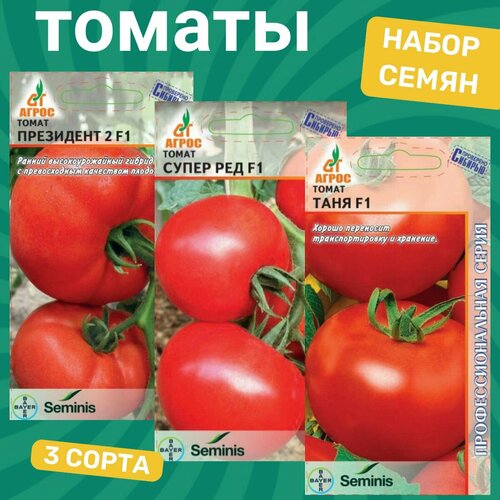 ������ ������ ����� ����� ������� / ��������� 2, ����� ���, ���� ����