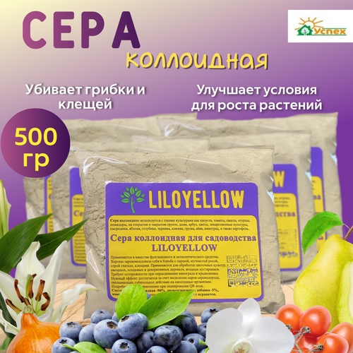 ������ ������ ���� ���������� ��������� ��� ������ ���� �� ��������� �����, 500�� ����