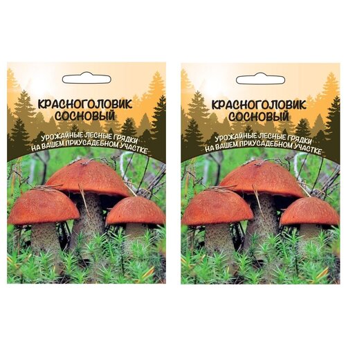 ������ ������ ������� ����� ������������� �������� 15��, 2 �������� ����