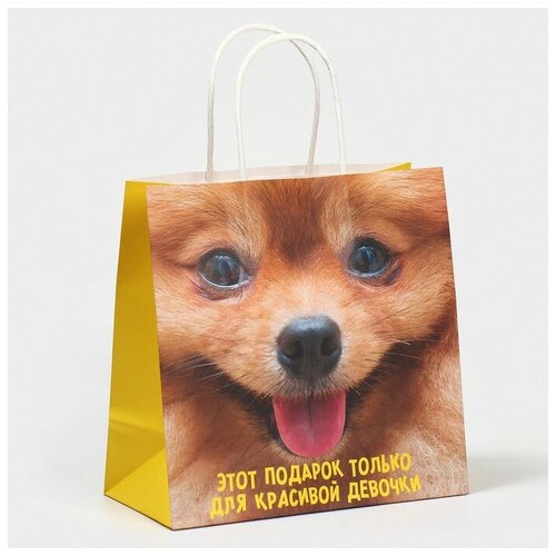 ������ ������ ����� ���������� ����������, 22 � 22 � 11 �� ����