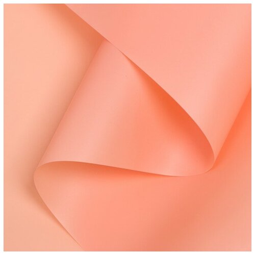 ������ ������ ������ ����������� ����-���� 