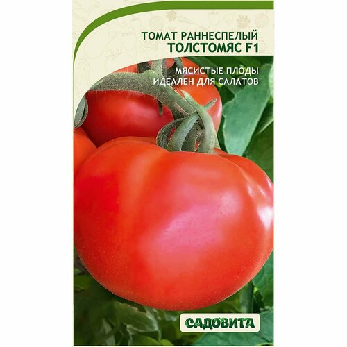 ������ ������ ������ ������ ��������� ������� ������ ����