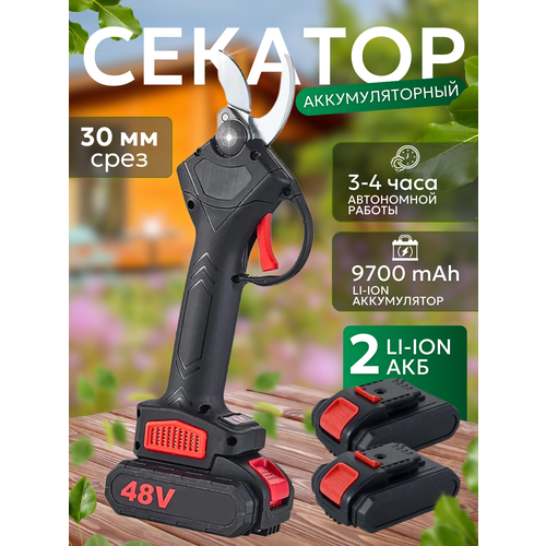 ������ ������ ������� ������� ��������������, �������� 2 ��� � ��������� ����