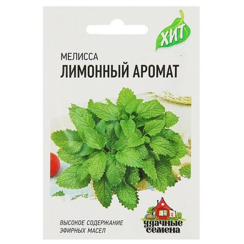 ������ ������ ������ ������� ������������� 