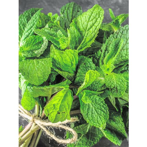 ������ ������ ������ ���� �������� ���������� ����