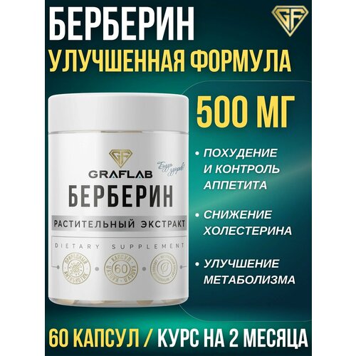 ������ ������ GraFLab, ��������, 500 ��, 60 ������ ����