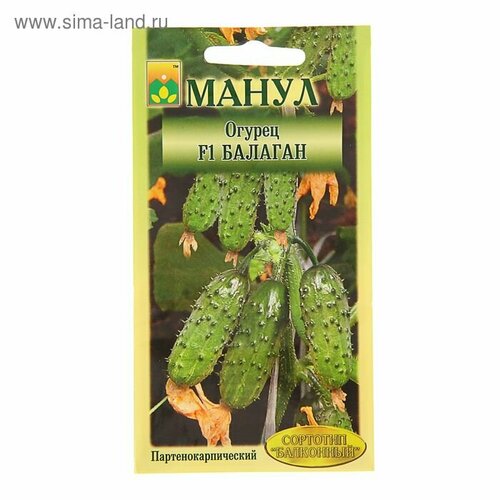 ������ ������ ������ ������ ������� F1 10�� ������������������ ������ (�����) ����