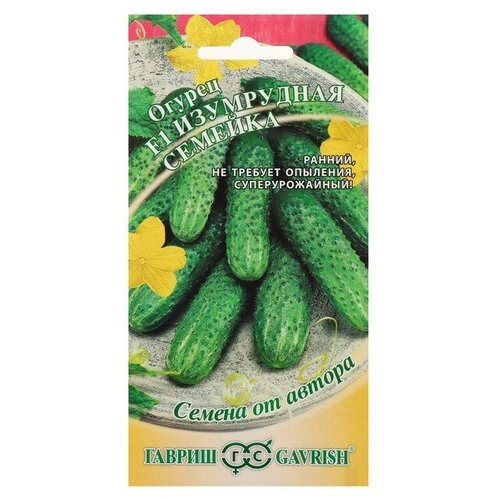 ������ ������ ������ ���������� ������� ����