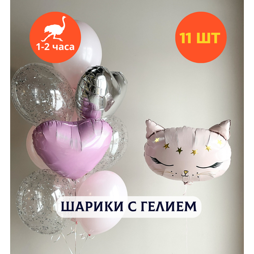 ������ ������ ������ ��������� �� ���� ��������, ��������� ���� � ������, ���� � ���� ��������, ����� ����� ��� ������� 