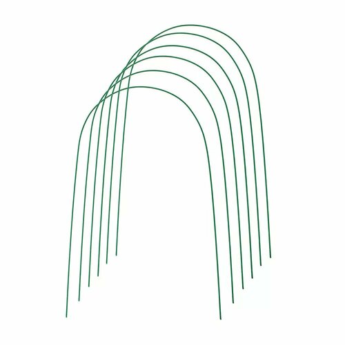 ������ ������ ���� ��� �������, ������ � �������� 4 �, d = 10 ��, ����� 6 ��. ����