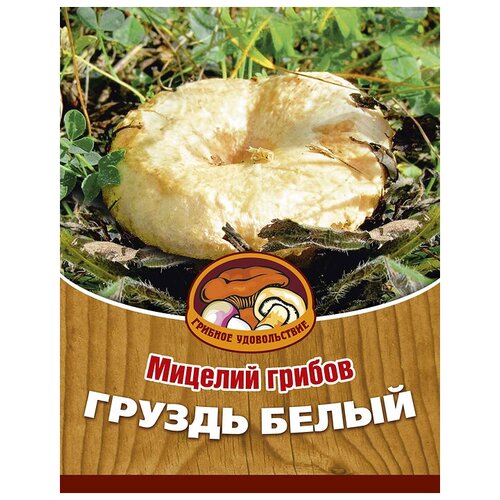 ������ ������ ������ ��������� ��� ����� ������ (������� �� ��������) , �� ����