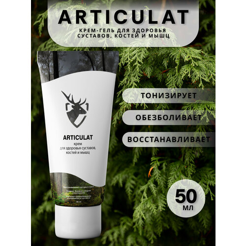 ������ ������ ����������������� ��������������������� ���������, 1 �� ����