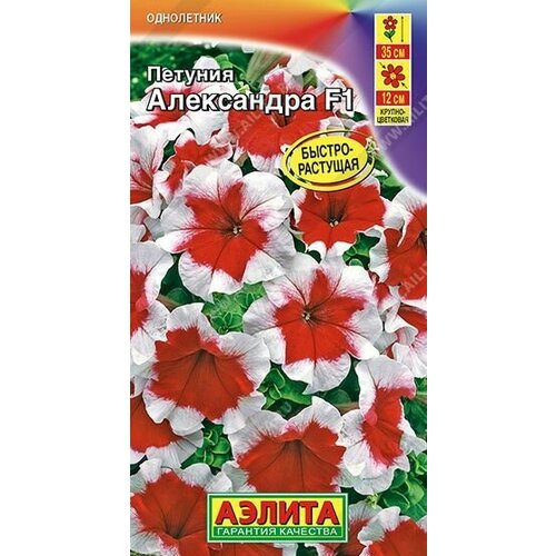 ������ ������ ������� ��������������� ���������� F1 ( 3 �������� ) , ������ ����