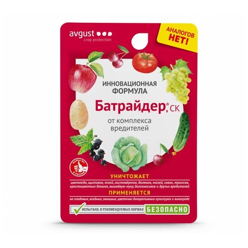 ������ ������ �������� �� ���������� ��������� 10�� Avgust ����