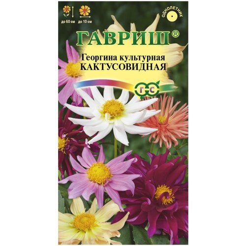 ������ ������ ������ �������� ������������� ���� ����