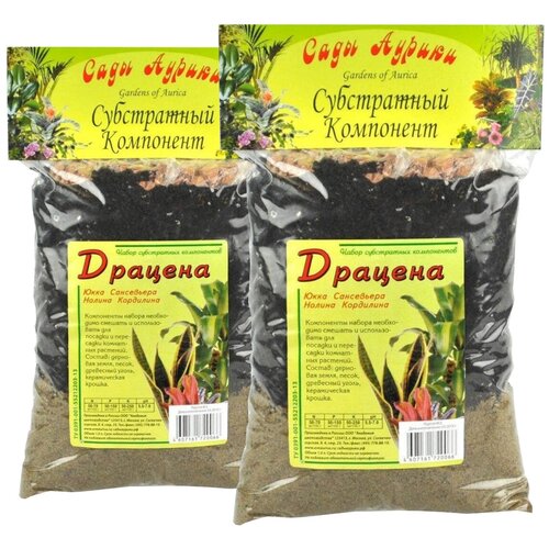 ������ ������ �������� 