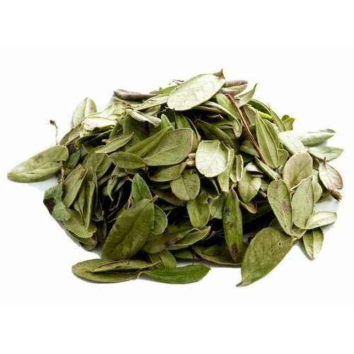 ������ ������ �������� ����, 200 ��. ����