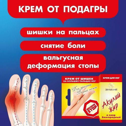 ������ ������ ������ ����. ���������. ���� �� ����� �� ������� ���. ������ ��� � ������ �����������. ����� 20 �� / ������ ����