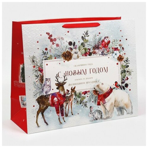 ������ ������ ����� �������������� �������������� �������� ������, XL 49 ? 40 ? 19 �� ����