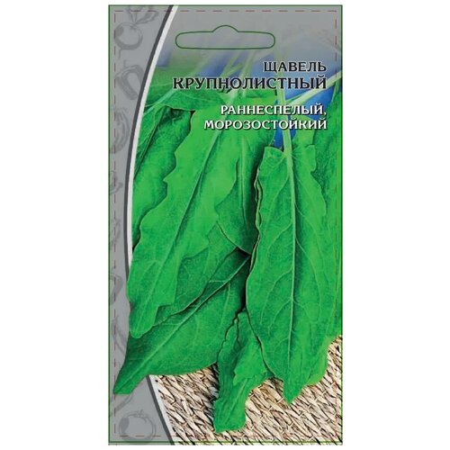 ������ ������ ������ ���� ��������� ������ �������������, 1 � ����