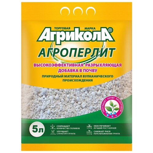 ������ ������ ���������� ��������, 5 � ����