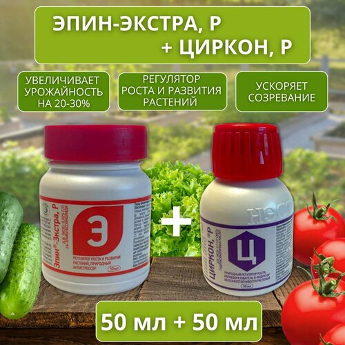 ������ ������ ������ 50 �� + ���� 50 �� ����