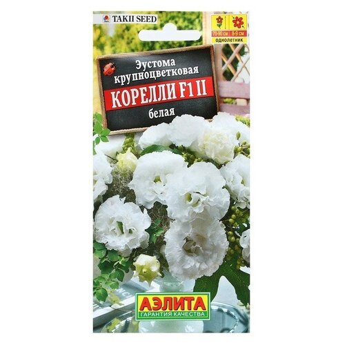 ������ ������ ������� (���������) ������� F1 ����� ������ ��������� � ���������� ����� ������������� �������� ������, ������ 70-90, ������ ����� 5 �� ����