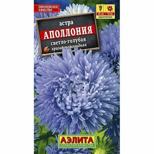 ������ ������ ������ ����� ��������� ������-�������, ����������, (������) 0,2� ����