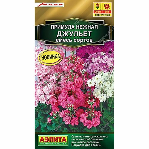 ������ ������ ������ ������� �������, ����� ������, �����������, (������) 7�� ������� ����� ���. Farao ����