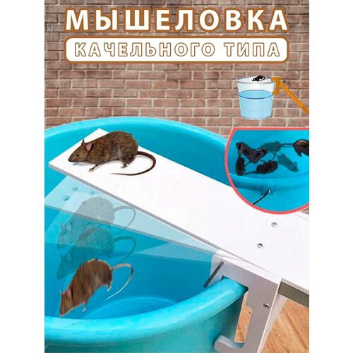 ������ ������ ��������� ���������� ����, ��������� �� ����� ����