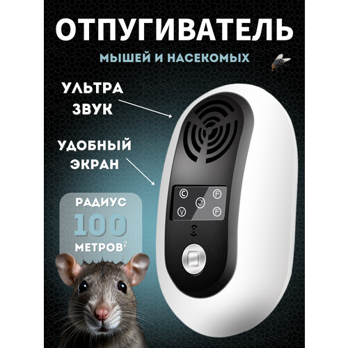 ������ ������ ������������ ����� � ��������� �������������� ����