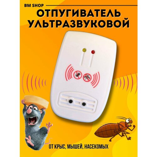 ������ ������ ������������ ����, ����� � ��������� , ��������� ����