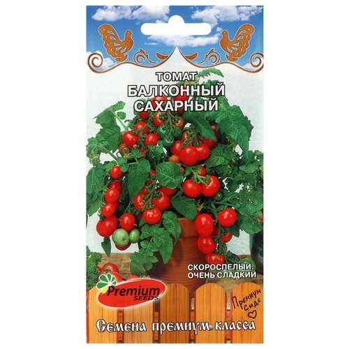 ������ ������ ������ ����� 