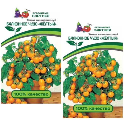 ������ ������ ������ ����� ��������� ���� (������) /��������� �������/ 2 �������� �� 0,05 � ����� ����