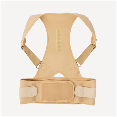 ������ ������ ��������� ������ ��� ��� 