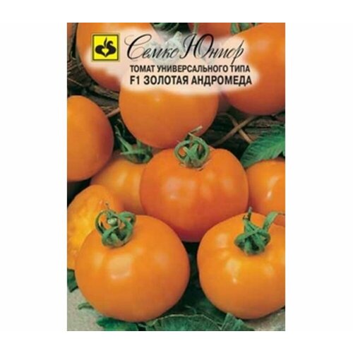 ������ ������ ������ ����� ������� ��������� F1 0.1� ��� ������ (�����) ����