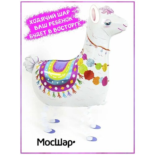 ������ ������ ��������� ��� ������� ������ ���� ����