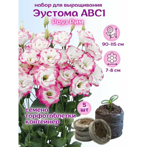 ������ ������ ������ ������� ���� ��� + �������� �������� Jiffy, 5��, ����� ��� ����������� ����